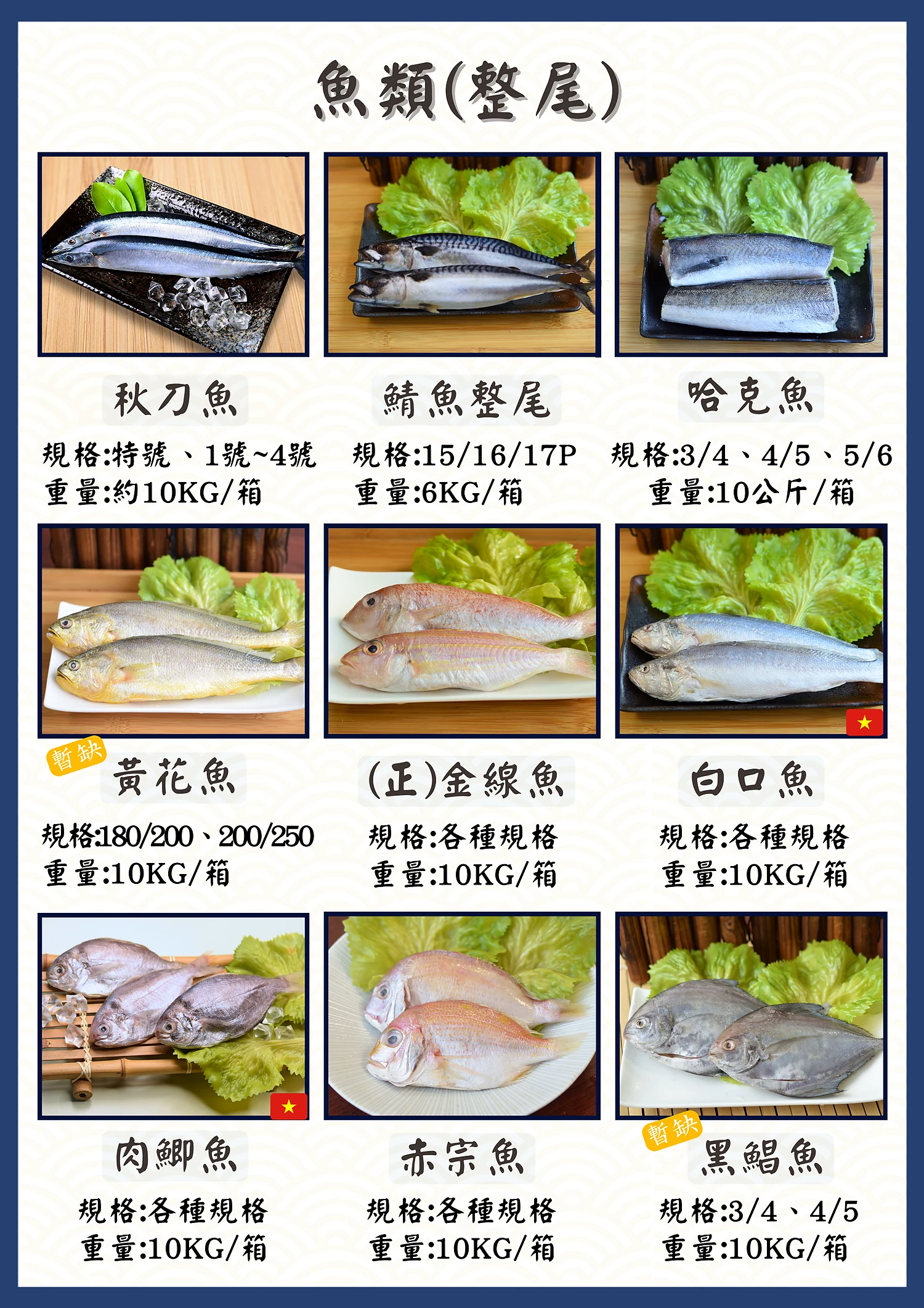 魚類代表商品圖